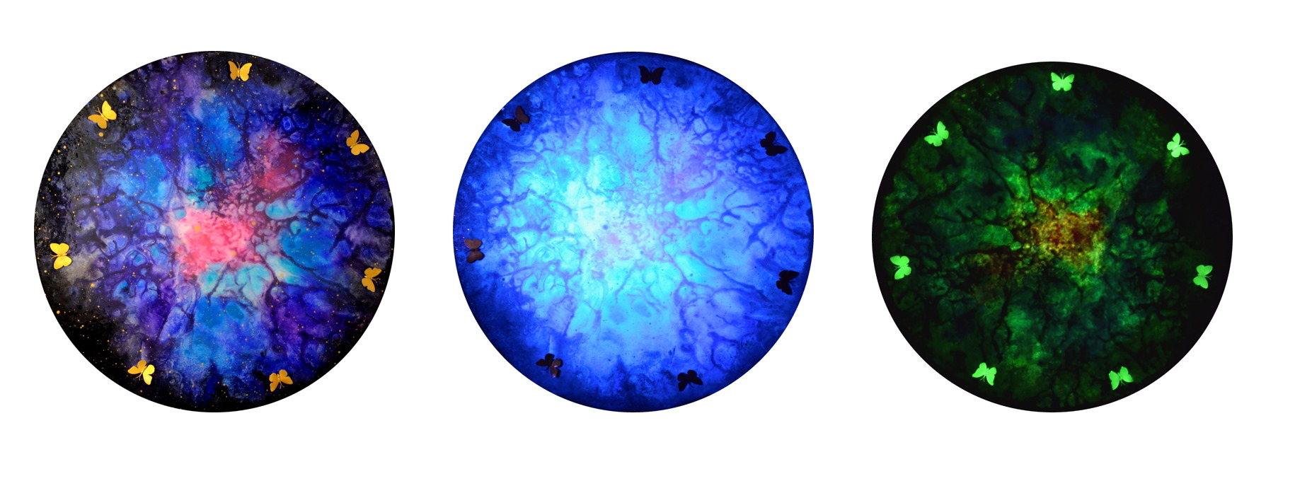Enrico Magnani, pittore contemporaneo, opera supernova dark energy - butterfly, opera fosforescente e fluorescente