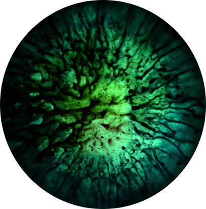 Enrico Magnani, Supernova Materia oscura R13-19 | 2018, Acrilico e pigmento fosforescente su pannello multistrato di carta alluminio, quadro di arte contemporanea
