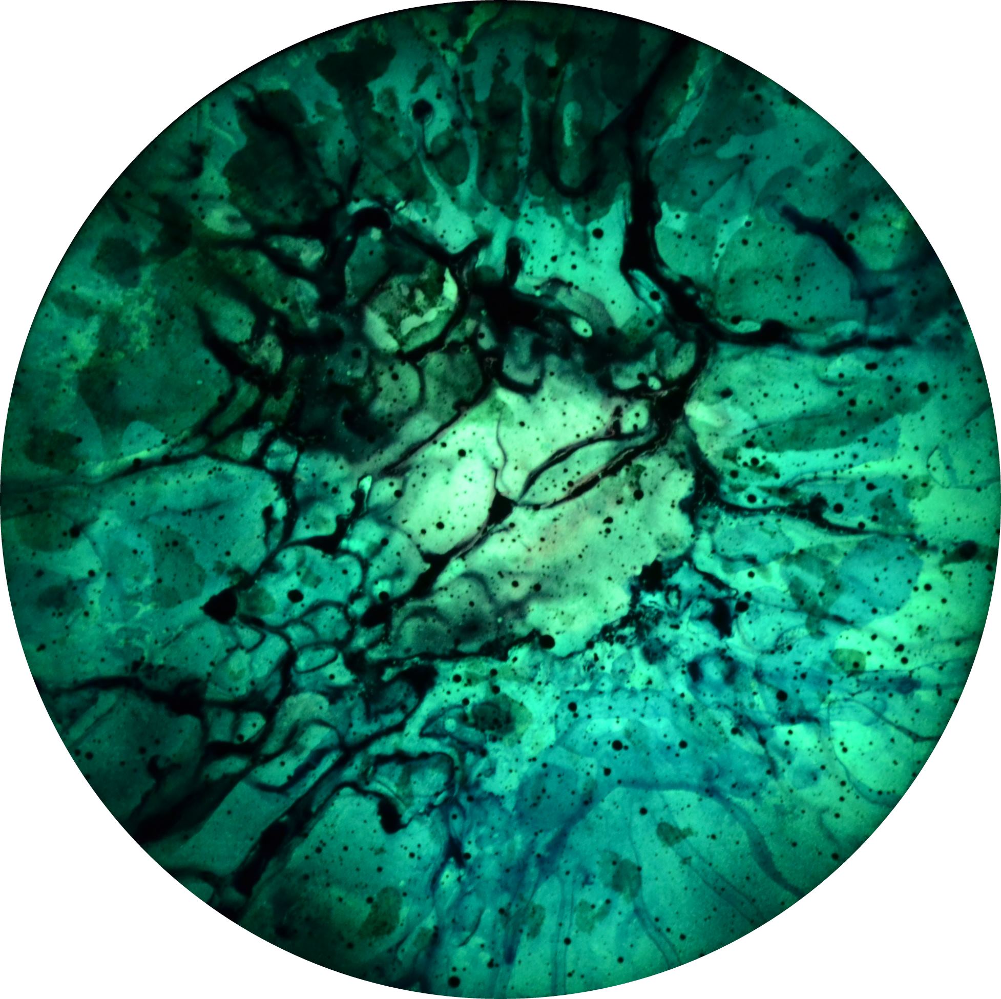 Enrico Magnani, Supernova Dark Matter R5-19 | 2019, Acrylic and phosphorescent pigment on multi-layer paper aluminium board, glows in the dark