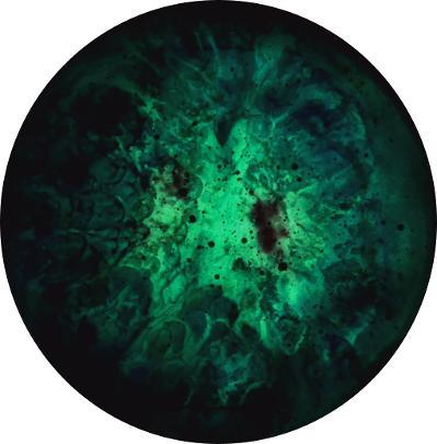 Enrico Magnani, Supernova Materia oscura studio No. 2 | 2018, Acrilico e pigmento fosforescente su pannello multistrato di carta alluminio, quadro di arte contemporanea