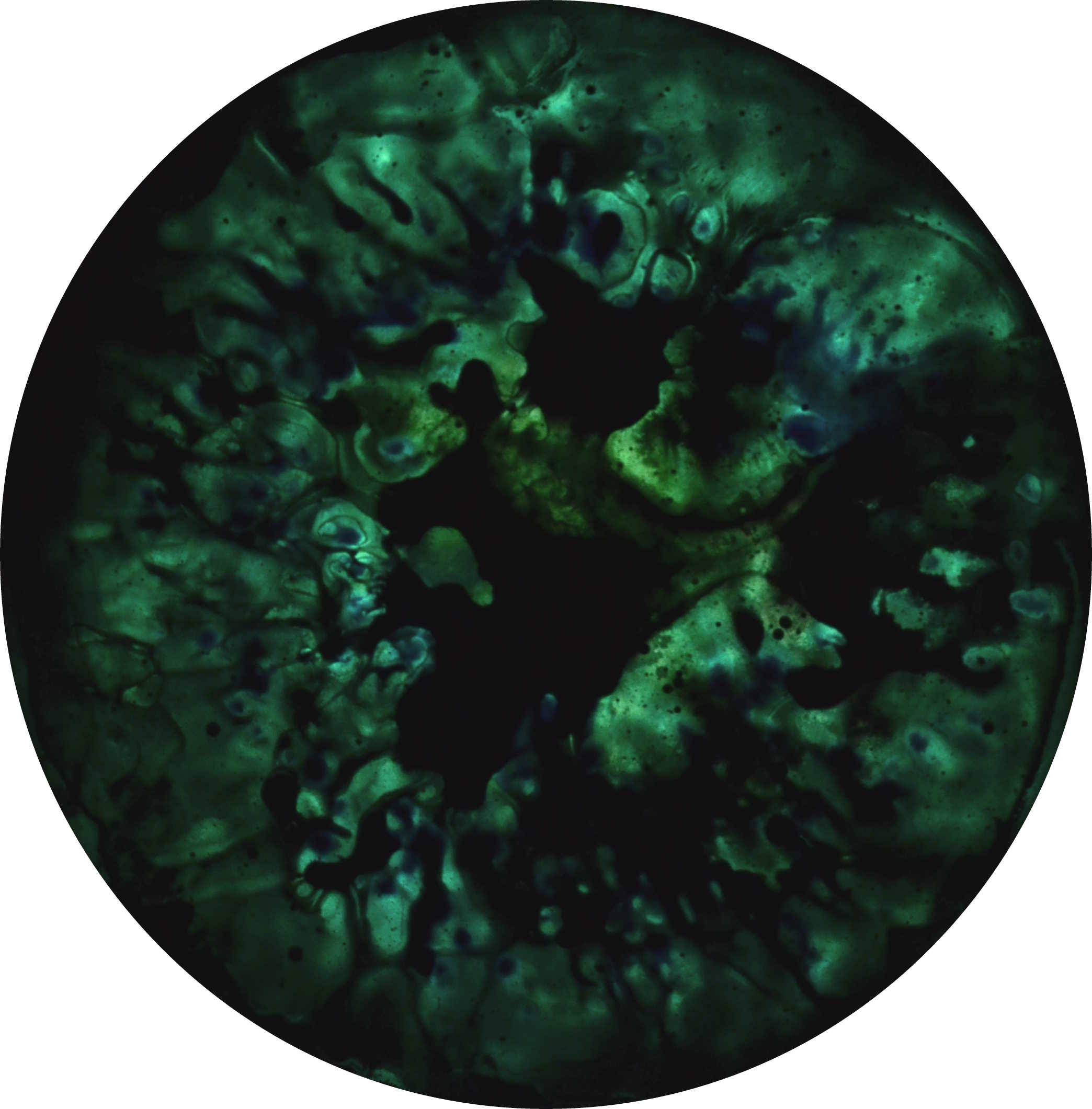 enrico magnani, dark matter, CERN, CMS, art, science, installation