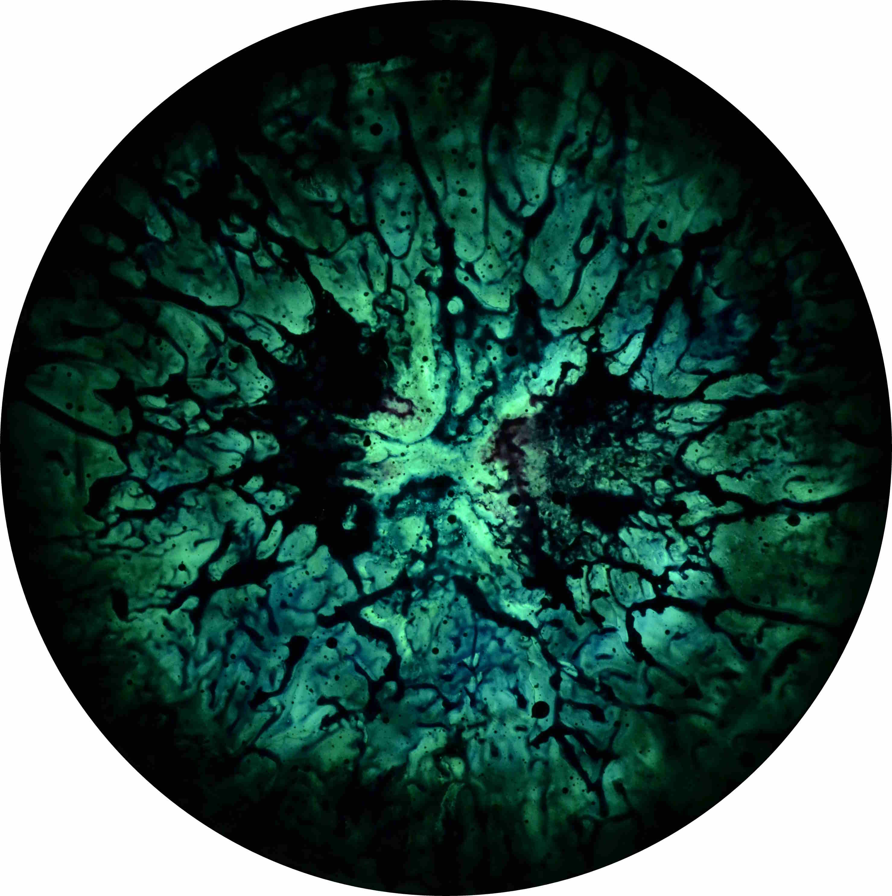 enrico magnani, dark matter, CERN, CMS, art, science, installation