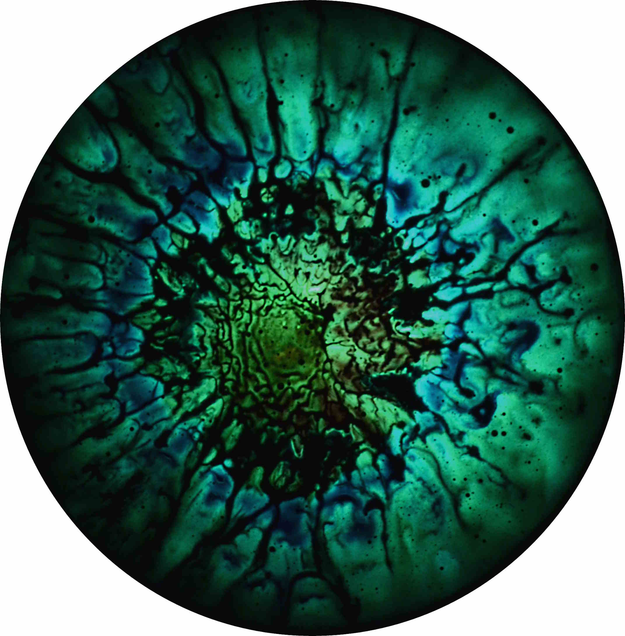 enrico magnani, dark matter, CERN, CMS, art, science, installation