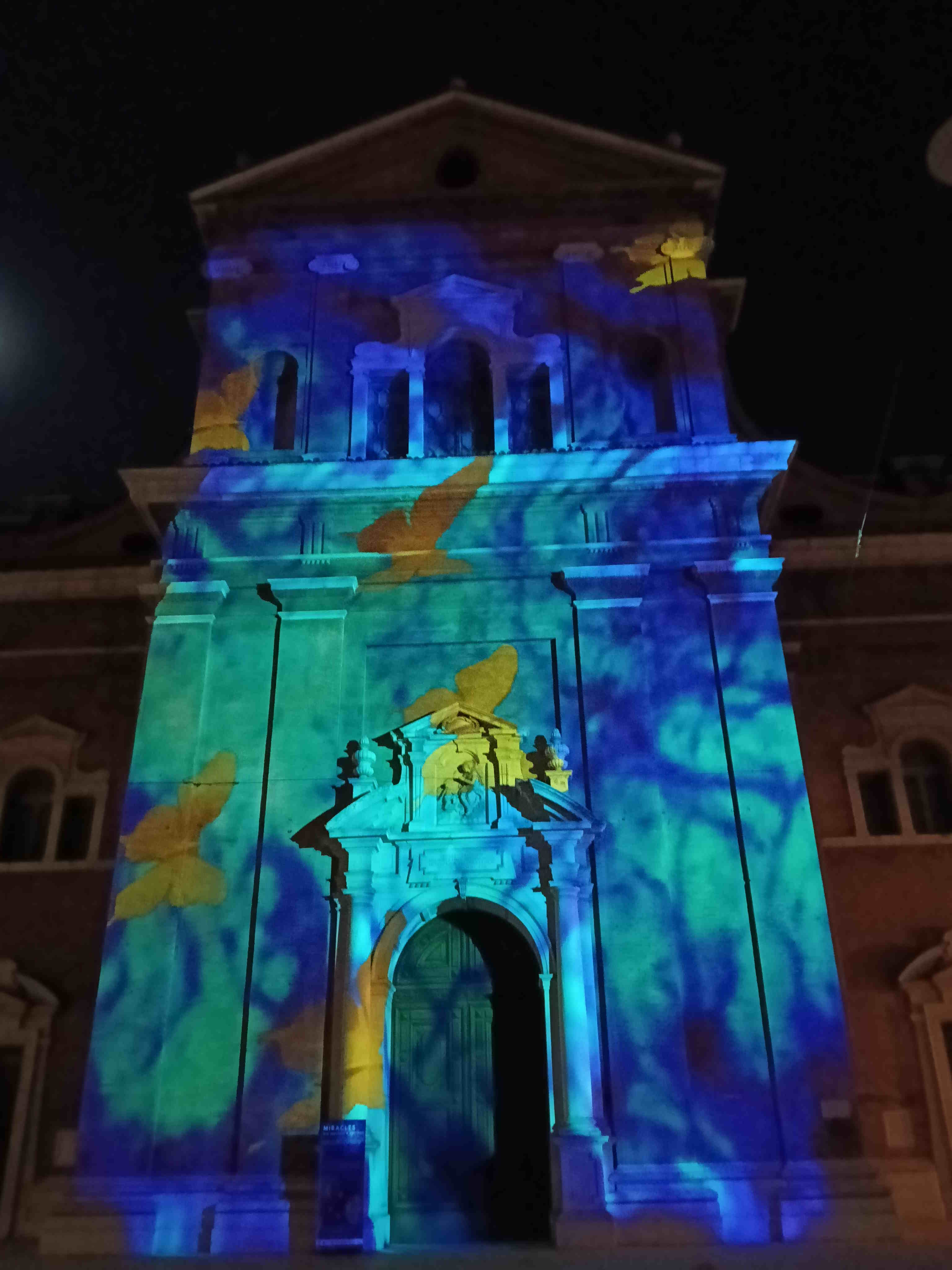 enrico magnani, basilica della ghiara, reggio emilia, 2026, miracles